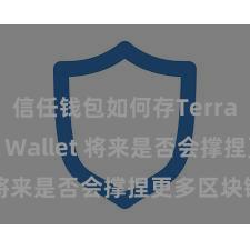 信任钱包如何存Terra Trust Wallet 将来是否会撑捏更多区块链？